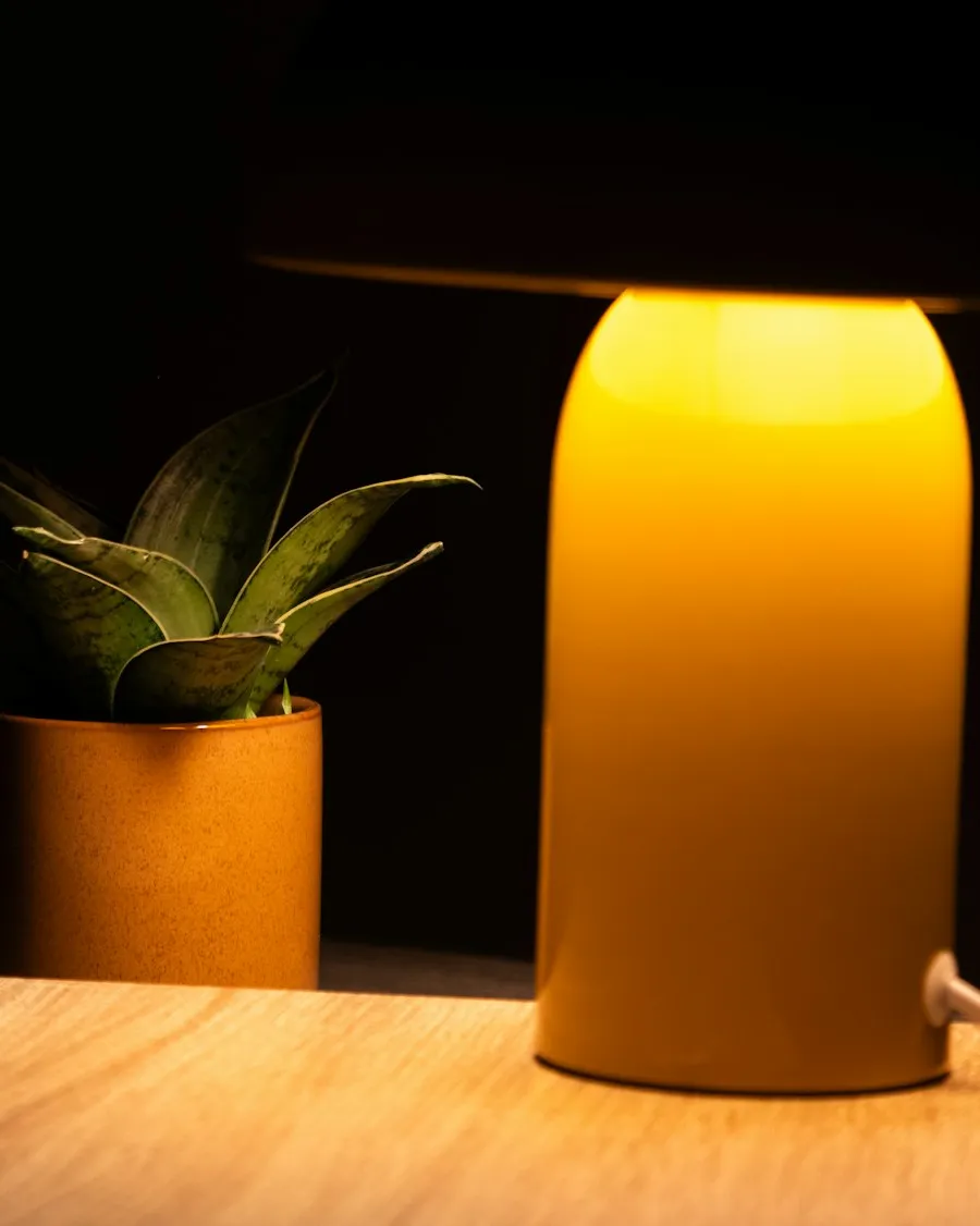 Blog lighting